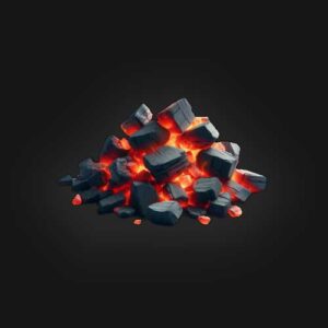 تاریخچه پیدایش زغال